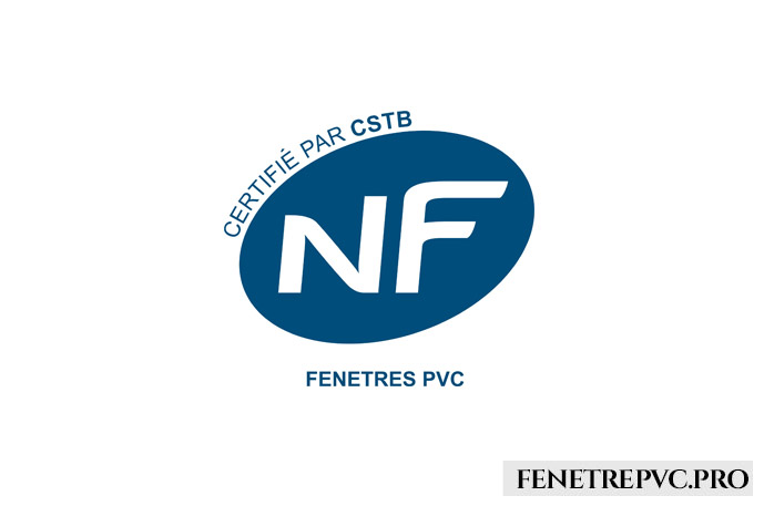 nf logo bleu blanc