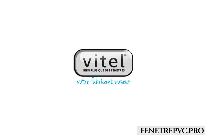 gris foncé bleu ciel logo vitel